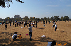 Kite Flying Fest